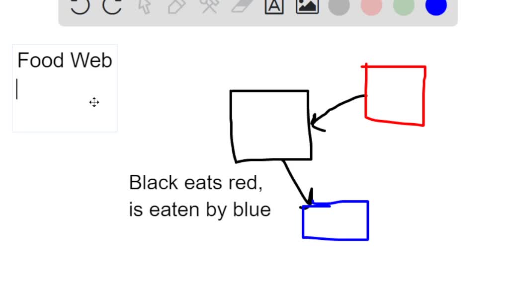 SOLVED 'According to the following food web which of the following