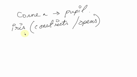 1-describe-what-the-human-eye-is-composed-of-and-tell-what-is-the-function-of-each-of-them-in-the-process-to-see-2-explain-how-the-human-eye-works-when-it-receives-light-from-objects-to-form-33144