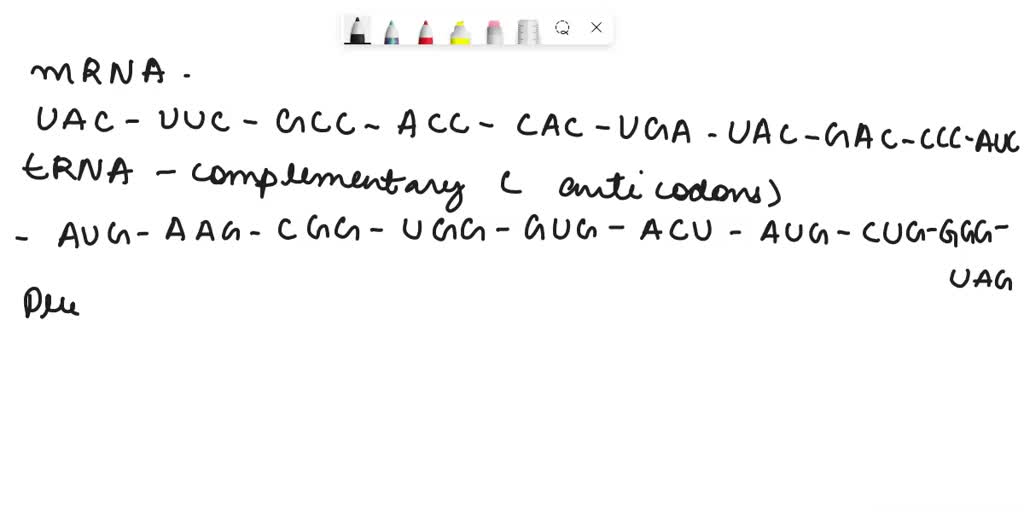 SOLVED Can you figure out the anticodons that each tRNA that delivers