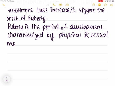 when-testosterone-levels-increase-in-a-prepubescent-individual-what-occurs