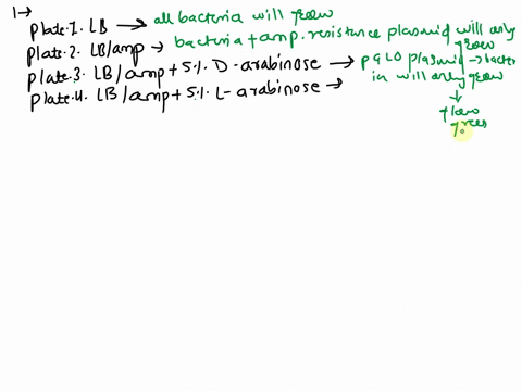 bio230-lab-revised-manual-pdf-proccdume-pglq-bacteml-plates-bucieria-cun-frown-iquid-mecin-liquid-culture-solid-substrate-plate-culture-for-therins-experiment-you-willl-adding-nothing-contro-62842