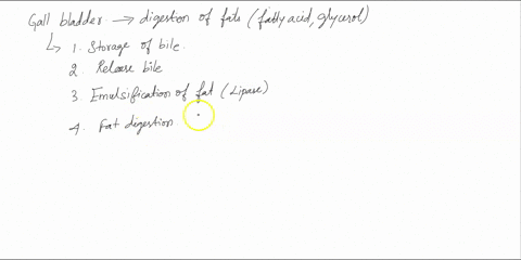 predict-the-effect-of-the-removal-of-the-gallbladder-on-the-digestion-of-fats-57438