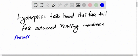 h-e-heads-tails-tails-are-v-face-face-face-inwards-spiemui-amphipathic-and-and-hydrophobic-and-hydrophil-and-hydrophili-what-does-hydrophilic-tails-head-head-this-face-tails-face-face-mean-f-41087