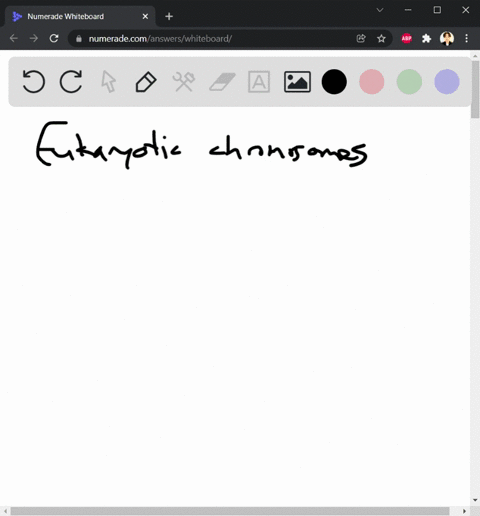 which-statement-about-eukaryotic-chromosomes-is-not-true-they-are-clearly-visible-as-defined-bodies-under-the-light-microscope_-b-they-normally-possess-a-single-centromere-they-sometimes-con-10999