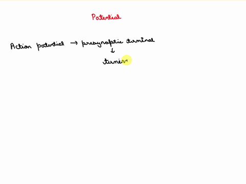 when-an-action-potential-reaches-the-presynaptic-terminal-ligand-gated-ion-channels-in-the-presynaptic-terminal-are-opened-ocal-potential-is-generated-in-the-presynaptic-terminal-acetylcholi-60375
