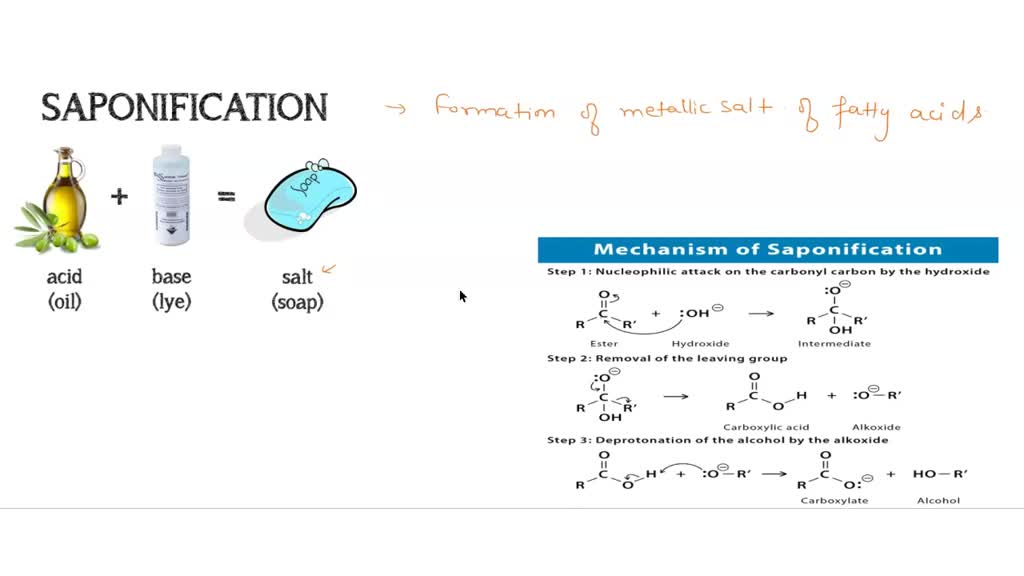 Saponification Lab Handout Hydrolysis Of Triglycerides 42 OFF