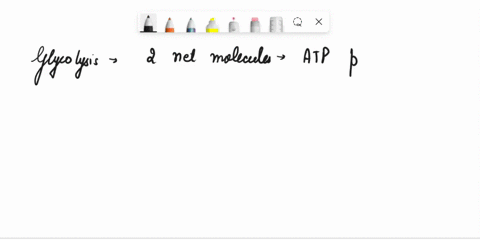 the-net-result-of-a-single-glycolysis-run-is-the-formation-of-98496
