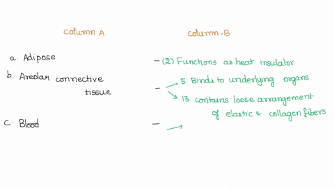 part-b-assessments-placo-the-letter-your-choice-the-space-provided_-match-the-tissuos-column-with-the-characteristics-column-some-answers-may-be-used-more-than-once-column-column-b-adipose-a-99388