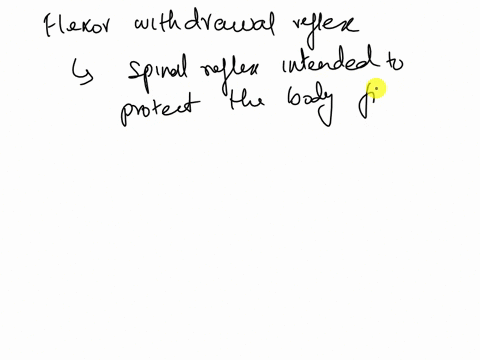 the-flexor-withdrawal-reflex-select-one-a-acts-through-spinal-cord-circuitry-b-is-activated-by-stretch-of-the-intrafusal-fibres-c-is-activated-by-excess-tension-detected-by-the-gto-d-require-71316
