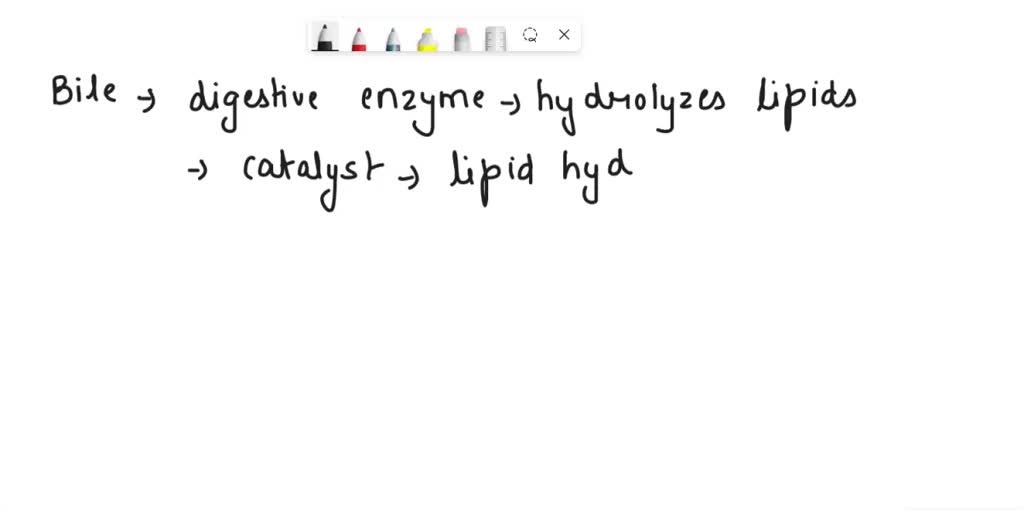 SOLVED A function of bile in lipid digestion is to secrete the enzyme