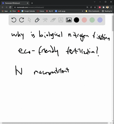 why-is-biological-nitrogen-fixation-an-environmentally-friendly-way-of-fertilizing-plants-47897