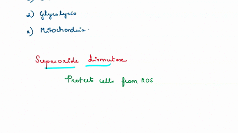 if-there-is-an-excess-of-reactive-oxygen-species-ross-in-a-system-where-would-the-problem-least-likely-be-found-group-of-answer-choices-the-electron-transport-chain-superoxide-dismutase-cata-84007