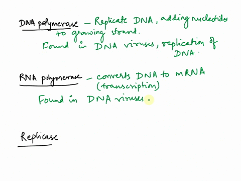 what-dna-polymerase-rna-polymerase-replicase-and-reverse-transcriptase-are-how-they-play-a-role-in-viral-replication-which-of-them-are-produced-by-host-cells-plants-have-an-extra-one-which-m-19773
