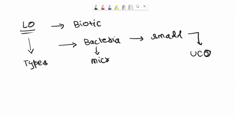 in-the-same-bacterial-cell-different-sigma-factors-are-able-to-control-the-expression-of-large-blocks-of-genes-truefalse-81541