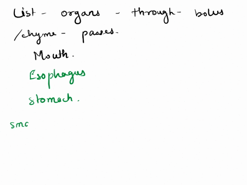 biol-151-anatomy-physiology-2-lab-homework-assignment-objectives-for-lab-11-exercise-38anatomy-of-the-digestivo-systom-exercise-39digestive-physiology-resources-powerpoint-presentation-lab-m-34616