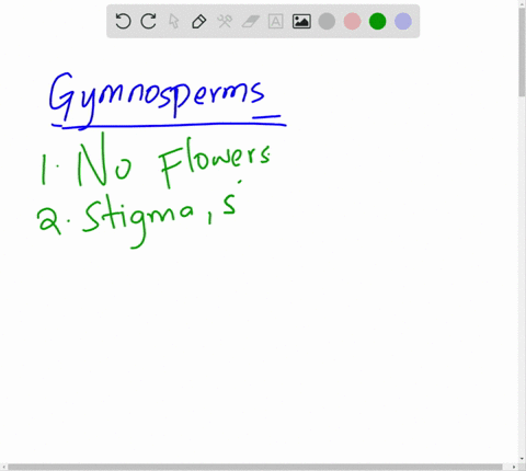 what-are-the-key-characteristics-shared-by-all-gymnosperms-what-are-two-ways-pine-seeds-are-dispersed-96534