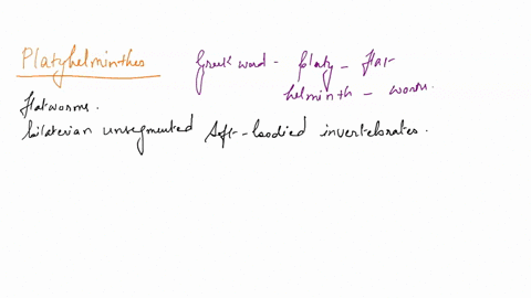 1-what-types-of-organisms-are-in-the-phylum-platyhelminthes-a-flatworms-b-rotifers-c-segmented-worms-earthworms-d-corals-2-a-primitive-animal-discovered-by-scientists-is-clearly-multicellula-03332