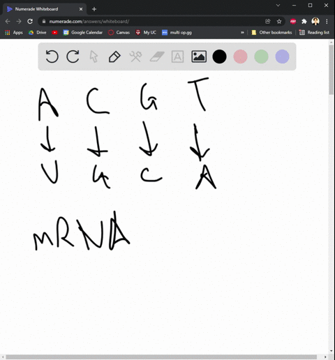 please-answer-number-3abc-and-d-this-is-the-3rd-time-im-posting-this-question-template-dna-sequence-with-no-mutations-tac-gca-ccg-tat-cat-gat-aat-transcribe-the-dna-to-make-an-mrna-molecule-22103