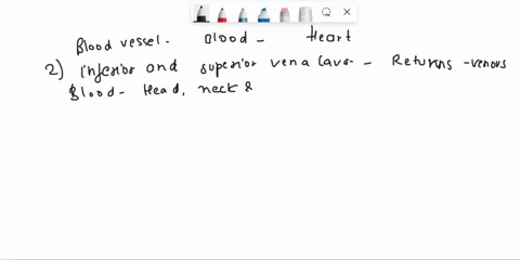 what-blood-vessel-returns-blood-to-the-heart-select-all-that-apply-select-3-correct-answers-pulmonary-arteries-inferior-and-superior-vena-cava-coronary-sinus-pulmonary-veins-pulmonary-trunk-49664