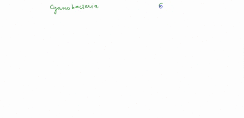state-2-similarities-and-2-differences-between-cyanobacteria-and-green-sulfur-bacteria-96125