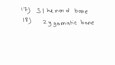 anatomy-homework-skull-and-vertebrae-for-all-numbered-labels-name-the-specific-part-of-the-bone-and-the-bone-except-as-follows-248172551-52-name-the-bone-only-111221-22-name-the-suture-su-pe-11505