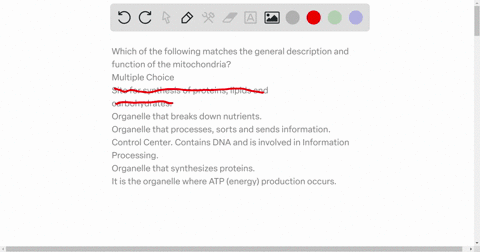 which-of-the-following-matches-the-general-description-and-function-of-the-mitochondria-multiple-choice-site-for-synthesis-of-proteins-lipids-and-carbohydrates-organelle-that-breaks-down-nut-62382