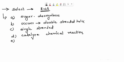 select-all-of-the-following-that-describe-rna-check-all-that-apply-nucleotides-contain-the-sugar-deoxyribose-always-occurs-as-a-double-stranded-helix-can-be-single-stranded-can-catalyze-chem-09363