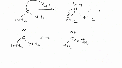 why-is-urea-a-stronger-base-compared-to-acid-amides-20518