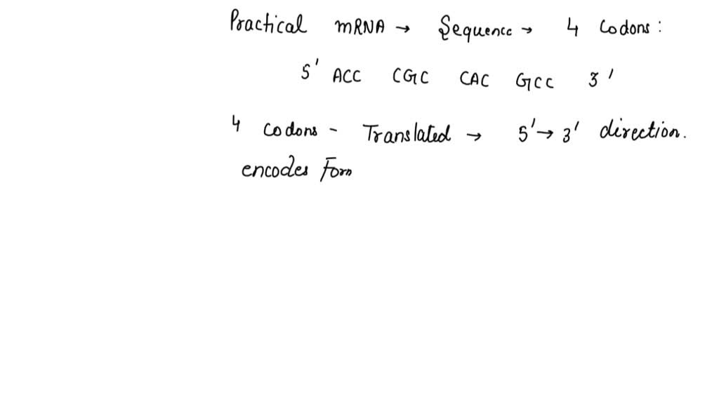 SOLVED: Below is a partial mRNA sequence from a mutant gene in E. coli ...