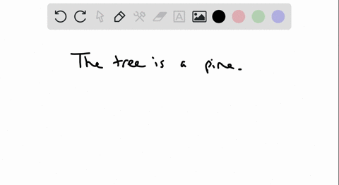 give-the-negation-of-each-statement-the-tree-is-a-pine-11595
