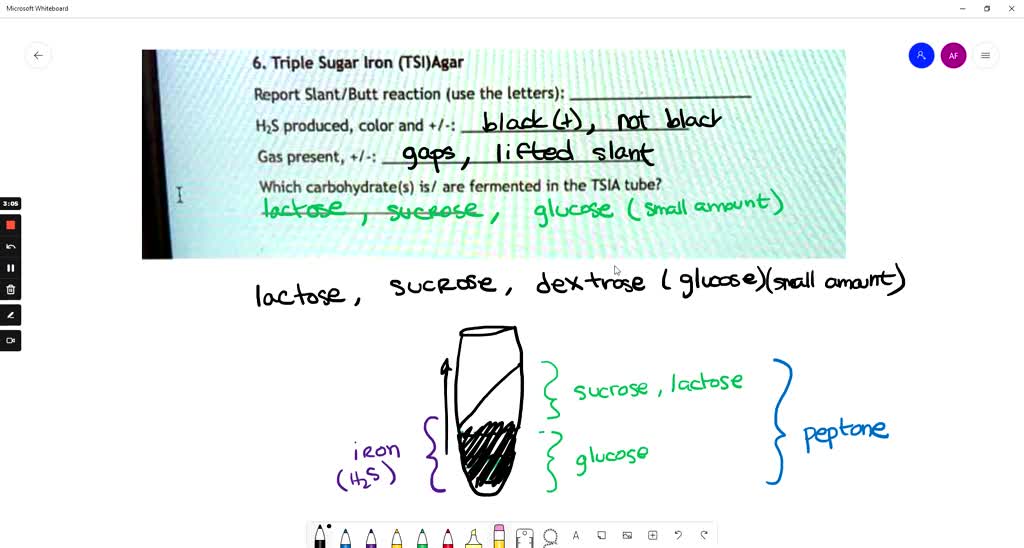 SOLVED 6. Triple Sugar Iron (TSI)Agar Report Slant /Butt reaction (use