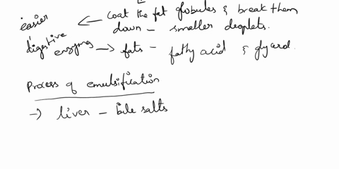 15-define-emulsification-describe-the-process-and-list-the-organs-and-structures-of-the-digestive-system-that-function-in-the-process-of-emulsificationl-16-absorption-a-with-respect-to-monos-83848