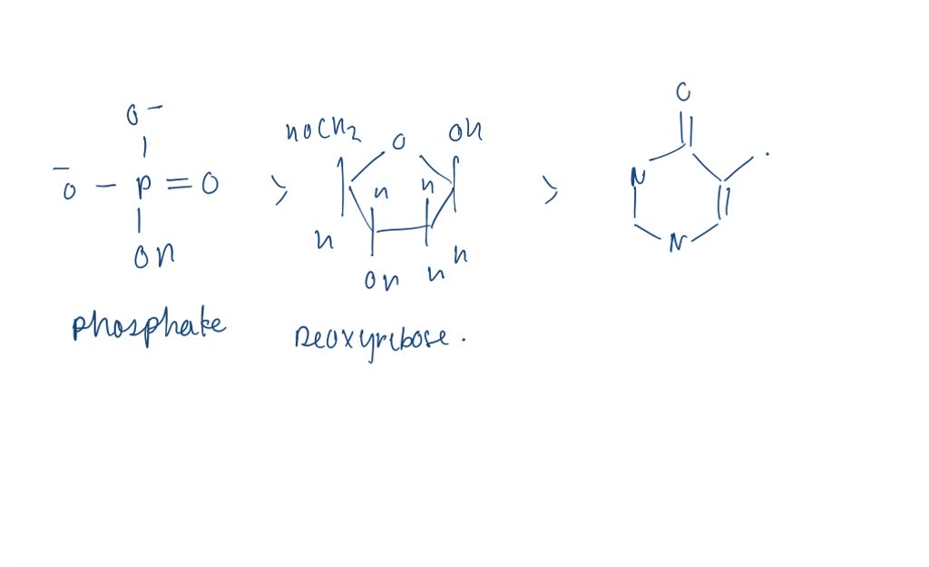 SOLVED Draw the following structures and rate their relative