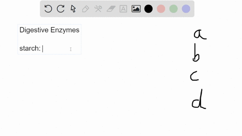 which-of-the-following-are-not-correctly-matched-amylase-carbohydrate-digestion-lipase-fat-digestion-nuclease-dna-and-rna-digestion-protease-lipid-digestion-02343
