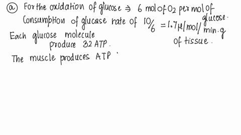 rat-heart-muscle-operating-aerobically-fills-more-than-90-of-its-atp-needs-by-oxidative-phosphorylation-each-gram-of-tissue-consumes-oxygen-at-the-rate-of-120-micromolmin-with-glucose-as-the-13863