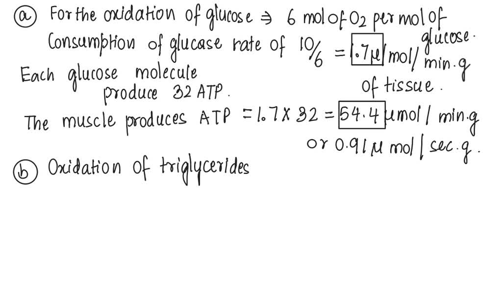 SOLVED Rat heart muscle operating aerobically fills more than 90 of