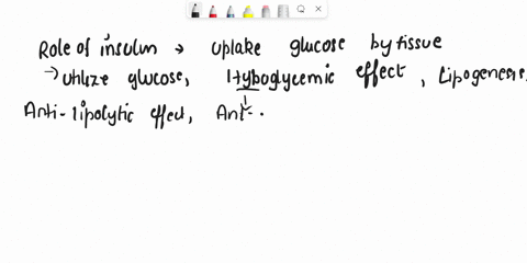4_-what-is-the-function-of-insulin-5-what-are-the-three-domains-of-insulin-receptors-and-what-are-their-respective-functions-38778