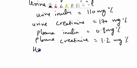 problem2-the-following-test-results-were-obtained-over-a-24-hour-period-urine-volume-12l-urineinulin-110mg-urine-creatinine-170-mg-plasma-inulin08-mg-plasma-creatinine12mg-hematocrit-040-aca-67095