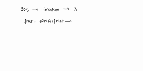 arrange-the-following-components-of-translation-in-the-approximate-order-in-which-they-would-appear-or-be-used-in-prokaryotic-protein-synthesis-70s-initiation-complex-30s-initiation-complex-17463