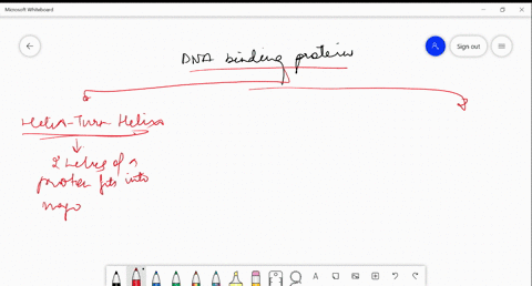 give-examples-of-the-major-structural-motifs-in-dna-binding-proteins-and-explain-how-they-bind-87871