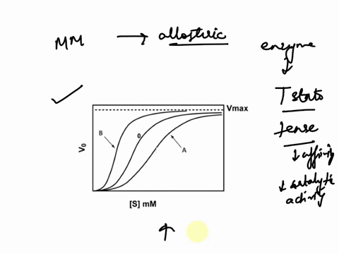 below-is-a-michaelis-menten-plot-for-an-allosteric-enzyme-which-line-represents-the-enzyme-in-its-t-state-vmax-b-a-s-mm-a-b-71542