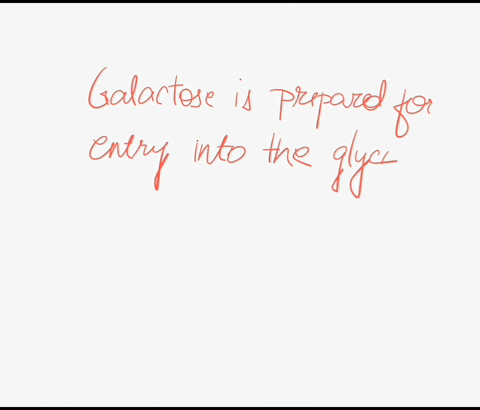 which-of-the-following-best-describes-the-manner-by-which-galactose-is-prepared-for-entry-into-the-glycolysis-pathway-a-galctose-specific-aldolase-cleaves-galactose-into-intermediates-of-gly-54264