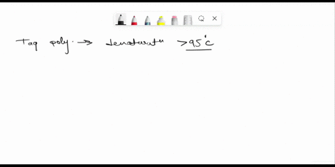 the-polymerase-chain-reaction-pcr-uses-thermostable-polymerases-to-amplify-a-specific-target-region-of-dna-why-must-the-dna-polymerases-used-in-pcr-be-stable-at-temperatures-considerably-hig-38356
