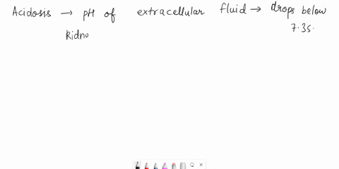 during-acidosis-when-the-ph-of-the-extracellular-fluid-drops-below-735-the-kidneys-compensate-by-a-excreting-more-hydrogens-ions-and-excreting-less-bicarbonate-ions-b-excreting-both-more-hyd-59156