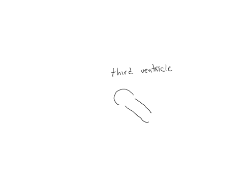 what-structure-connects-the-third-and-fourth-ventricles