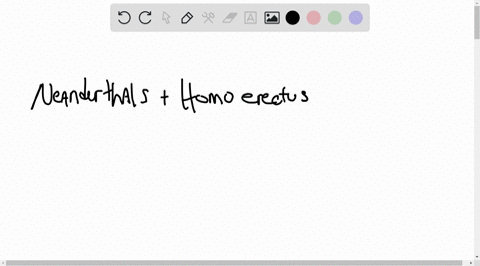 describe-the-two-lines-of-morphological-evidence-that-have-been-used-to-infer-whether-extinct-homi-2-04368