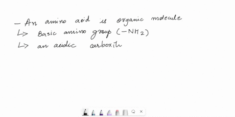 what-chemical-group-on-the-typical-amino-acid-acts-as-an-acid-which-with-release-h-in-alkaline-solution-74446