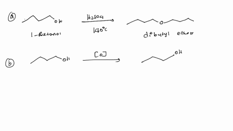 329what-products-would-result-from-the-following-processes-write-an-equation-for-each-reaction-_-a-1-butanol-is-heated-to-140c-in-the-presence-of-sulfuric-acid-b-1-butanol-is-subjected-to-an-65725