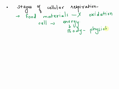 what-are-the-3-stages-of-cellular-respiration-46336