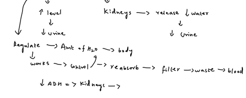 adh-causes-increased-reabsorption-of-water-from-the-filtrate-as-the-filtrate-passes-through-the-collecting-duct-toward-the-renal-pelvis-the-mechanism-associated-with-adhs-action-is-a-inserti-02762